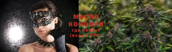 хмурый Дмитровск