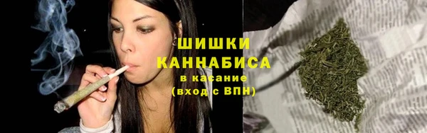 сатива Дмитриев