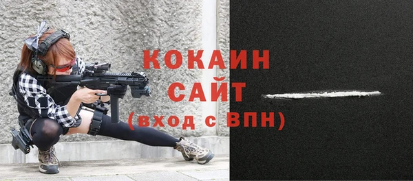 сатива Дмитриев
