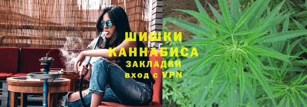 сатива Дмитриев