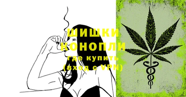 сатива Дмитриев
