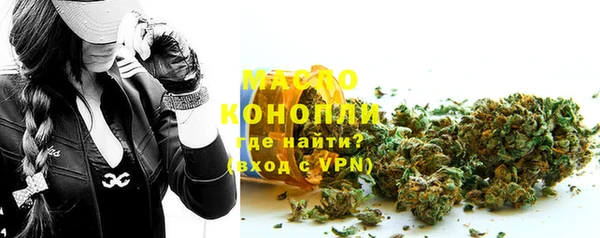 хмурый Дмитровск