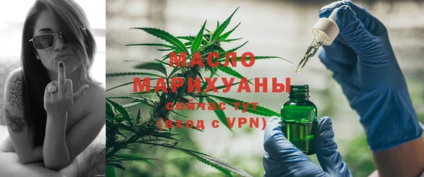 хмурый Дмитровск