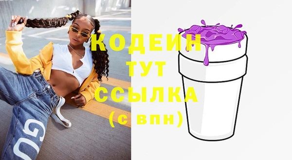 сатива Дмитриев
