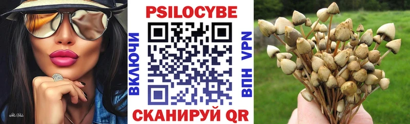 Галлюциногенные грибы GOLDEN TEACHER  Купить  Туймазы 
